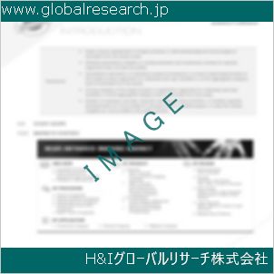 グローバルリサーチ調査資料のイメージ